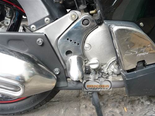 Inox xe SH- Ốp rùa